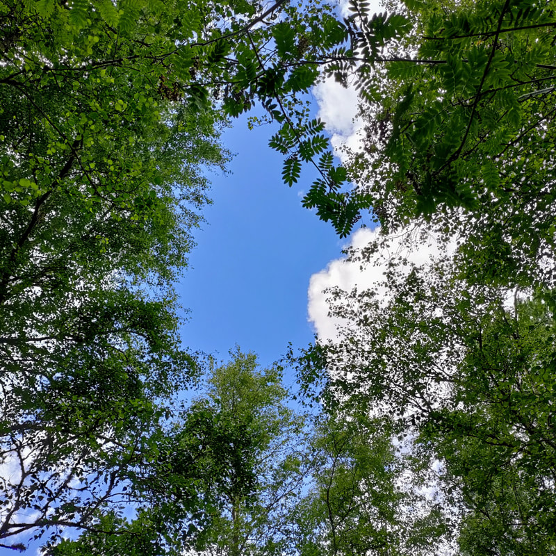 Tag det første skridt mod ro og balance.